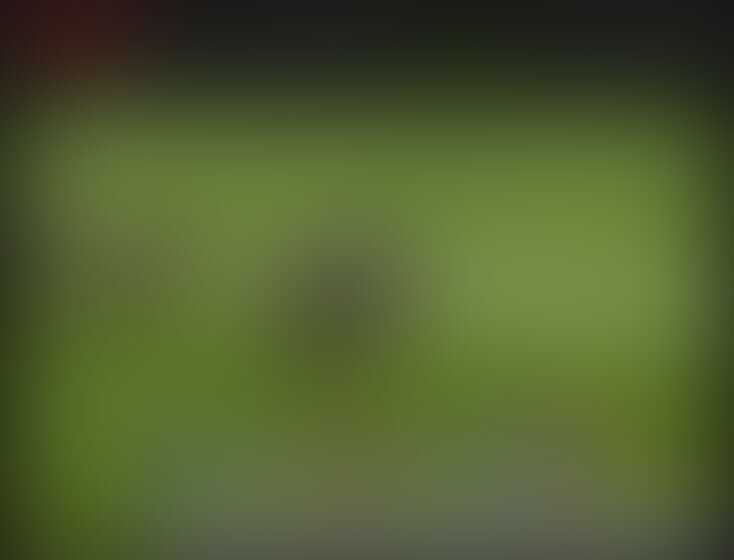 Wedden op virtuele sport